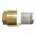 Клапан Boutte 1 1/4" с фильтром неразъемный