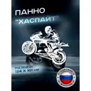 Панно большое металлическое Ilikpro Хаспайт Спортбайк 101x124 см белое