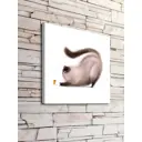 Картина без рамки Postermarket Пушистый кот 40x40 см