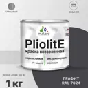 Краска-эмаль фасадная всесезонная Malare Pliolite FastCorr по дереву бетону быстросохнущая цвет RAL 7024 графитово-серый(темный) глянцевая 1 кг