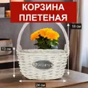 Корзина для фруктов 7Цветов-Декор 24 см ива цвет белый