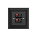 Розетка акустическая двойная встраиваемая Liregus Retro 29-241 цвет черный