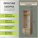Шкаф распашной Нортон Дуэт 2 80x220x48.2 см ЛДСП цвет дуб порто