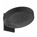 Лейка для верхнего душа Hansgrohe 00000082823 круглый цвет черный