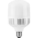 Лампа светодиодная Feron LB-65 E27-E40 100W 6400K, Холодный белый (голубой)