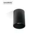 Светильник точечный накладной Raumberg 202511bk 1.5 м² цвет черный