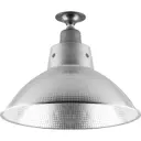 Светильник настенно-потолочный FERON HL38 12063 1 лампа 3 м² цвет серый