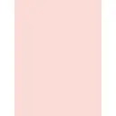 Фотоштора на шторной ленте Homepick Pink Nude 145x265 см цвет розовый