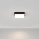 Светильник настенно-потолочный светодиодный Maytoni Zon C067cl-l27b4k 10 м² нейтральный белый свет цвет черный