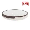 Светильник потолочный светодиодный TANGO ИДЕАЛ 1 лампа цвет белый