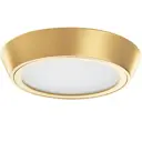 Светильник точечный накладной светодиодный Lightstar 214932 1 м² цвет золото