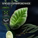 Блюдо сервировочное Доляна Таллула Лист 10x2x18.30 см керамика цвет зеленый