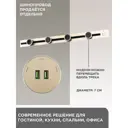 Трековая розетка Arte Perfetto Luce 2.1A 250 В 3338.TS2211.USBx2.Gold