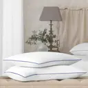 Комплект из 2 подушек Medsleep Mayura 70x70 см, пух