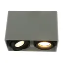 Светильник настенно-потолочный Arte Lamp 5655 2 лампы цвет белый