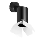 Светильник настенно-потолочный LIGHTSTAR RB437436 Rullo 1 лампа 2 м² цвет черный