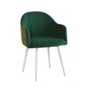 Стул Alderson Токио 50x80x52 см фанера цвет зеленый/белый