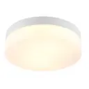 Светильник настенно-потолочный Arte Lamp A6047PL-3WH цвет белый IP44