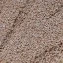 Ковер Scroll (01_010_5000000) 200x300 см