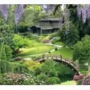 Фотообои DeliceDecor Китайский парк Ф 011 300x270 см