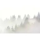 Фотообои флизелиновые DeliceDecor И 1258 Туман и лес 400x270см