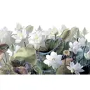 Фотообои Urban Style «Белый лотос» флизелиновые 300x200 см UST7303