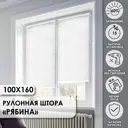 Рулонная штора Эскар Рябина 100x160 см белая