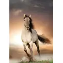 Фотообои бумажные Твоя планета Люкс 136x194 см Свобода Х 5