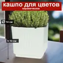 Кашпо декоративное 7цветов-декор d 14 см 13 см 2.5 л керамика белый