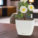 Кашпо Square matt Planta vita d 18 см 15 см 2 л пластик белый