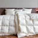 Одеяло German grass Royal down gg621562 200x200 см пух