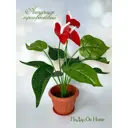 Искусственный антуриум Подар.ОК Home 9x12 см цвет красный/белый/зеленый/коричневый