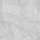 Стеновая панель Alumoart 62.3.1 240x0.4x60 см алюминий цвет серый