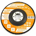 Круг лепестковый торцевой КЛТ1 Bohrer P100 125x22 мм