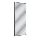 Дверь-купе 245.5x90.4 см зеркало цвет черный узкий профиль