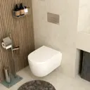 Инсталляция для унитаза WASSERKRAFT 56tlt.010.me.bn03