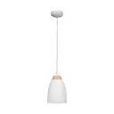 Светильник подвесной Loft it Watchman LOFT4402A-WH E27 60W