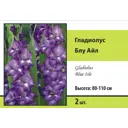Гладиолусы Бюджет микс 2 шт.