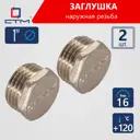 Заглушка СТМ CRCM0001 1" НР латунь 2 шт