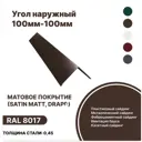 Угол наружный B-Group 15x100x100х15x1250мм RAL 8017 коричневый матовый 4шт