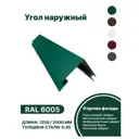 Угол наружный B-Group 18x100x100х18x2000мм RAL 6005 зеленый глянцевый 10шт