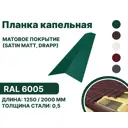 Капельная планка B-group 1250x100x70мм матовый RAL 6005 цвет зеленый 10шт