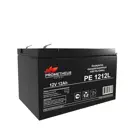 Аккумулятор Prometheus Energy PE1212L