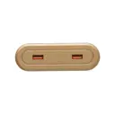 Розетка выдвижная встраиваемая Navako Stripe 12027 горизонтальная 2 USB цвет золотой
