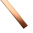 Шина заземляющая Лист 3x20x1000 мм медь