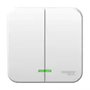 Выключатель накладной Schneider electric Blanca BLNVA065021 2 клавиши цвет белый