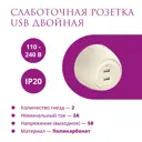 Розетка USB двойная накладная Onekeyelectro Rotondo 7700897 цвет бежевый