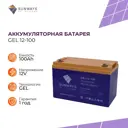 Аккумуляторная батарея Sunways GEL 12 В 100 Ач