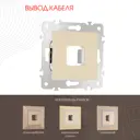 Вывод кабеля электропроводки или слаботочной сети Arte Milano 203.49-1.shampan цвет шампань