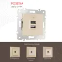 Розетка USB встраиваемая Arte milano 203.46-1.shampan цвет шампань